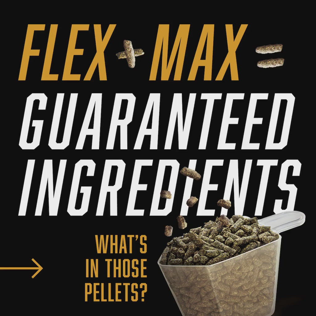 Absorbine Flex plus Max, guaranteed ingredients, guaranteed results.