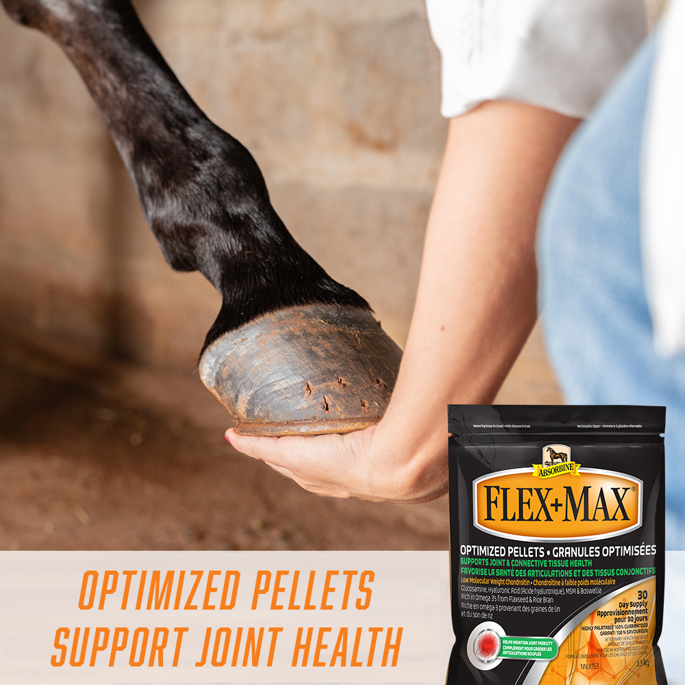 Flex plus Max joint support, optimized pellets support joint health. Picture of a woman holding the hoof of a chocolate colored horse's front leg in the air.