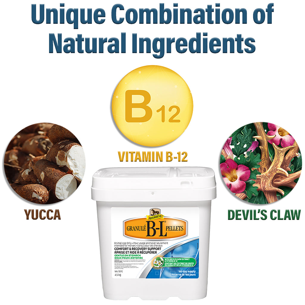 Absorbine B-L supplement pellets a unique combination of natural ingredients.  These ingredients include Yucca, vitamin B-12, and Devil's Claw.