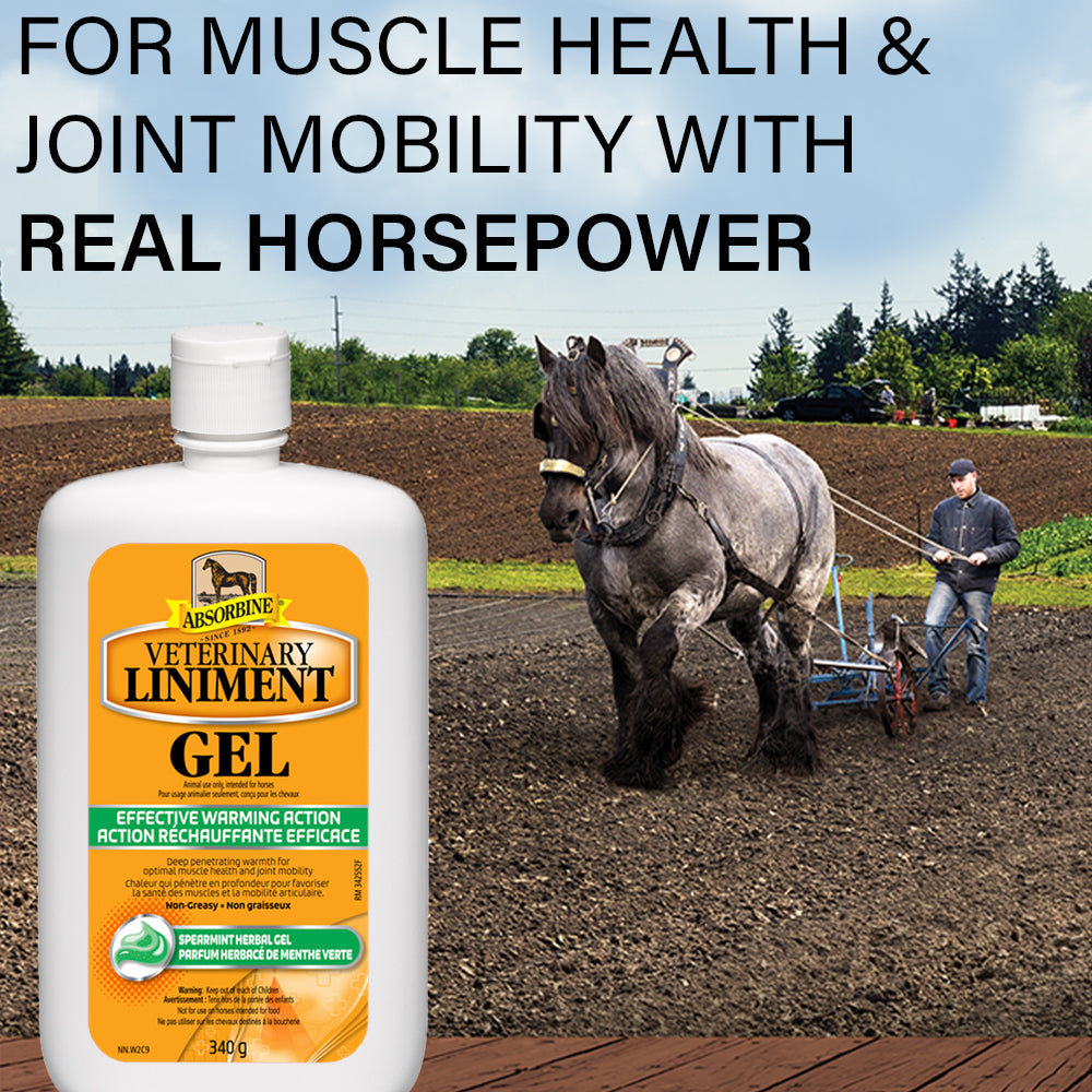 Absorbine Veterinary Liniment Gel, for muscle health & joint mobility with real horsepower. 