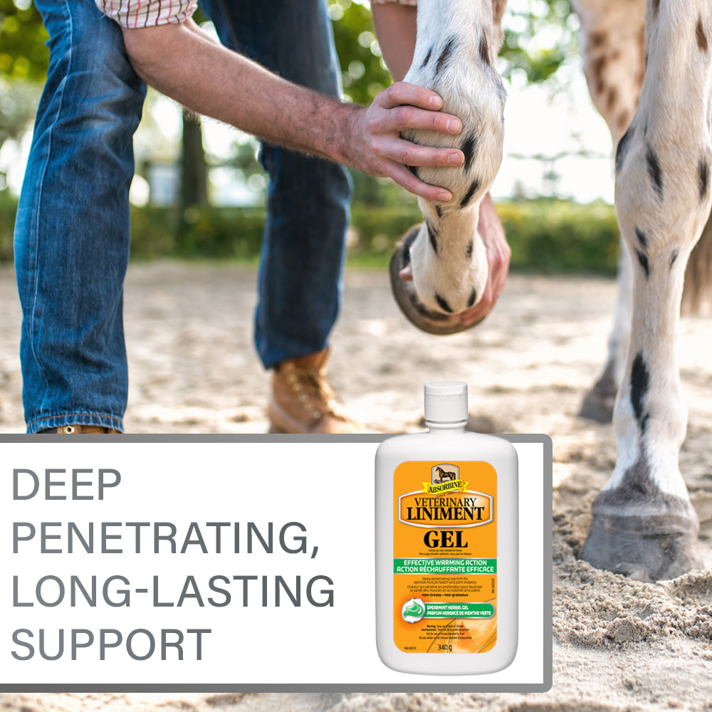 Man's hands holding a horses knee and ankle.  Absorbine Veterinary Liniment Gel, deep penetrating long-lasting support.