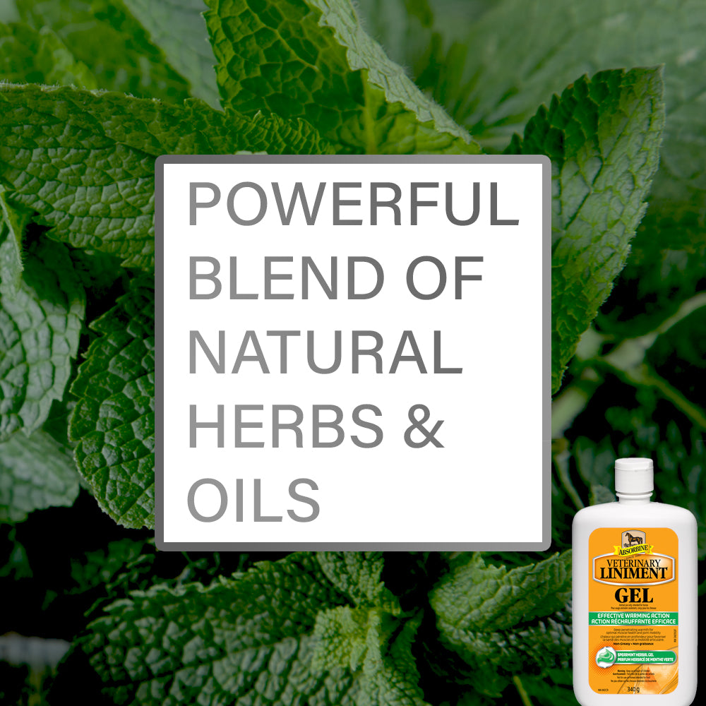 Absorbine Veterinary Liniment Gel, a powerful blend of natural herbs & oils.
