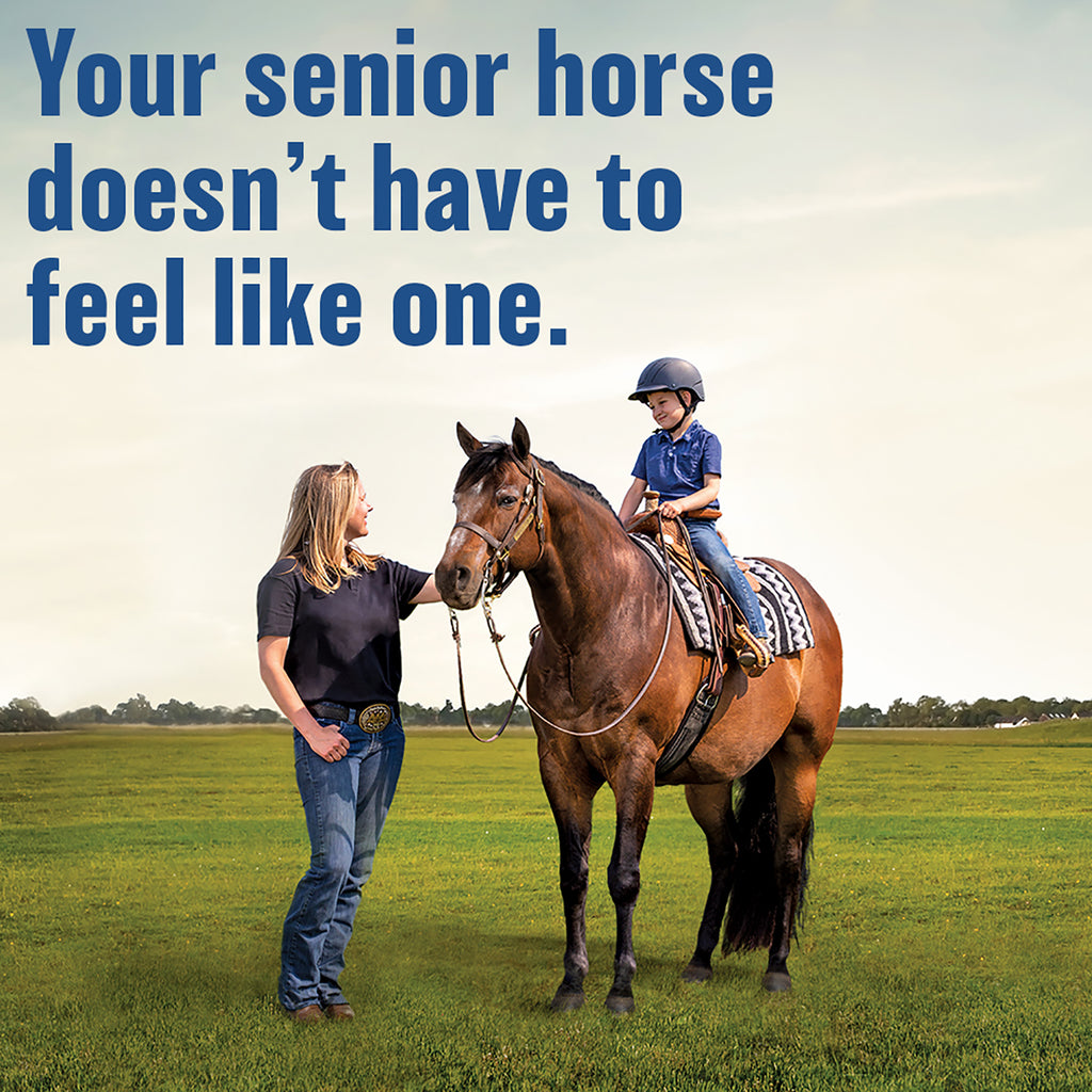 Absorbine B-L Comfort & Recovery supplement, caption your senior horse doesn't have to feel like one. A woman holding the reins of an older horse, a little boy with a helmet riding the horse.